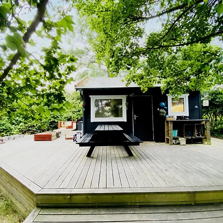 Charming House With Big Private Terrace * 알링에